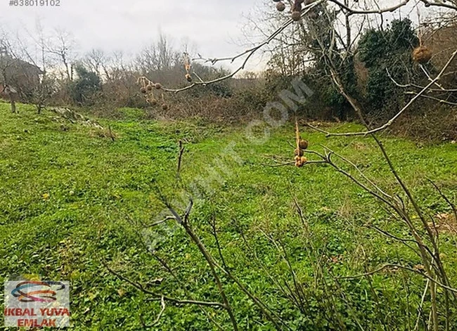 BALIKESIR GÖNEN DE SATILIK KAFA DİNLEMELİKBOL OKSİJEN TARLA