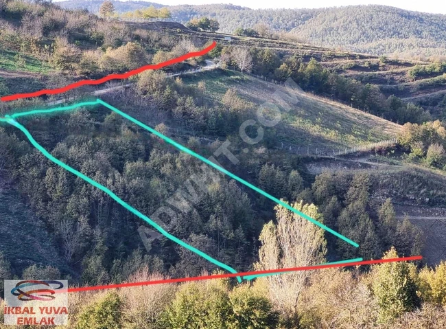 Garden for sale on the asphalt frontage in YALOVA ALTINOVA SERMYECIK