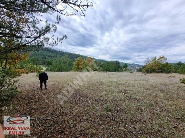 BURSA HARMANCIK BALANTDANİŞMENT KÖYÜNDE SORUNSUZ SATLIK TARLA