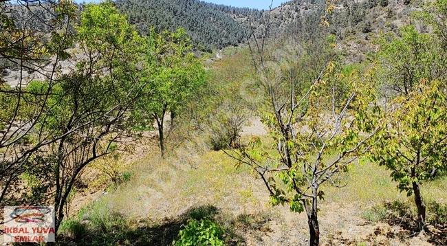 أرض للبيع في قرية BİLECİK İNHİSAR TOZMAN