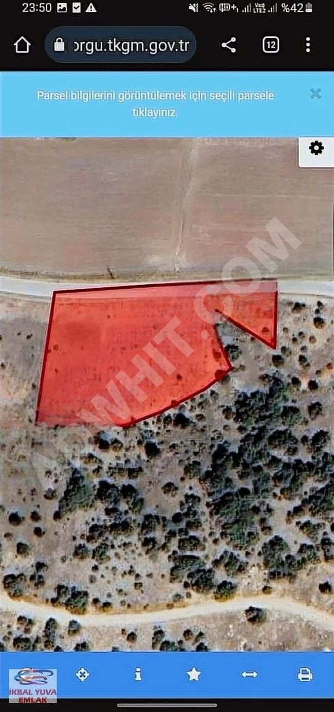 عاجل: أرض زراعية للبيع بمساحة 6 دونم تقع على واجهة الأسفلت، مزودة بالكهرباء والماء.