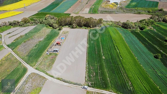 أرض زراعية بطابو منفرد بمساحة 5619 متر مربع في SİLİVRİ BÜYÜKKILIÇLI