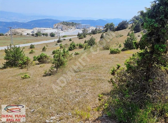 عاجل: أرض زراعية للبيع بمساحة 6 دونم تقع على واجهة الأسفلت، مزودة بالكهرباء والماء.