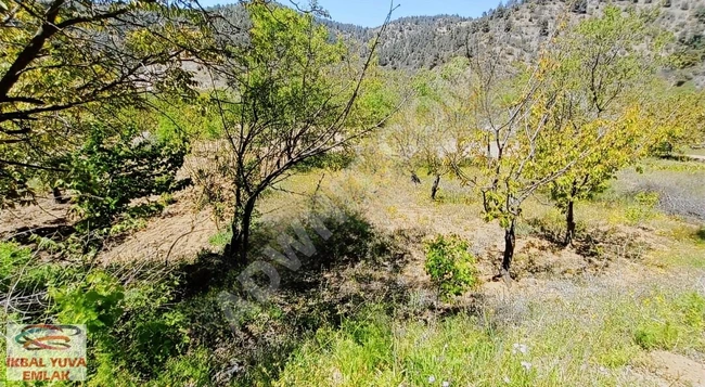 أرض للبيع في قرية BİLECİK İNHİSAR TOZMAN