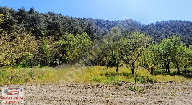 أرض للبيع في قرية BİLECİK İNHİSAR TOZMAN
