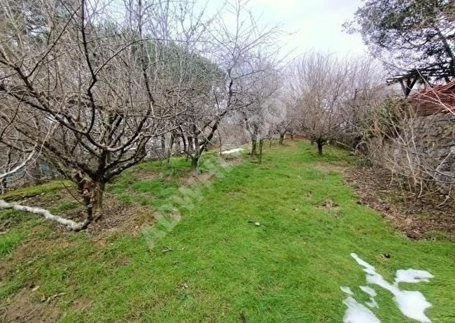 ŞİLE ULUPELİT KÖYÜNDE 1565 M2 ARSA İÇİNDE MÜSTAKİL VİLLA