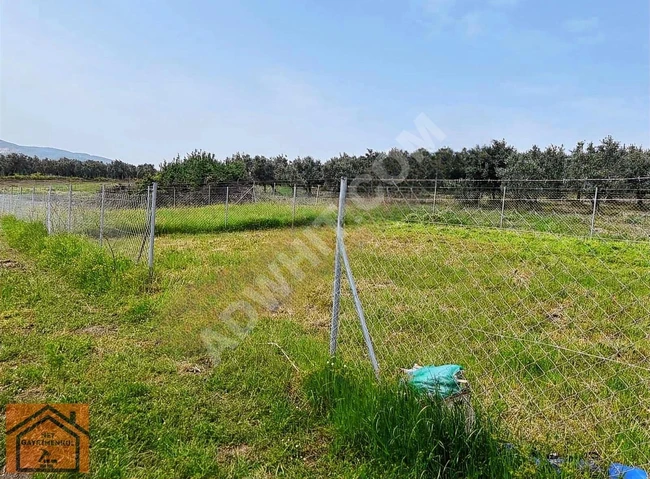 أرض للبيع عاجلاً في BURSA ORTAKÖY