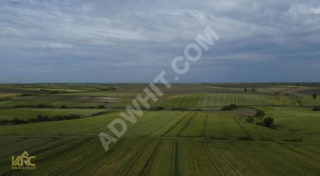 Land for rent! In Pehlivanköy Doğanca, with an area of 1,177 square meters, final price!