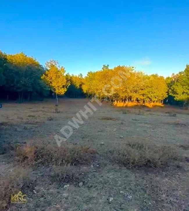 Land for sale - Price reduced, sea view - 1,049 m² for sale in Tekirdağ Şarköy