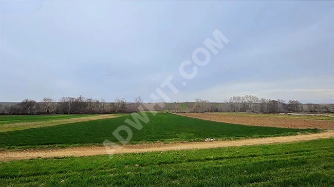 Official agricultural land on an official road, area 6700 square meters, frontage 55 square meters.
