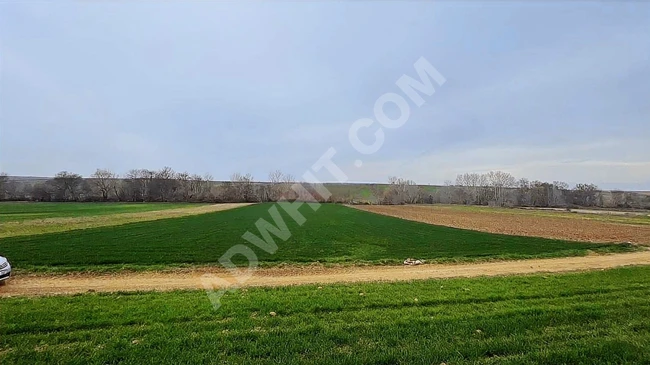 Official agricultural land on an official road, area 6700 square meters, frontage 55 square meters.
