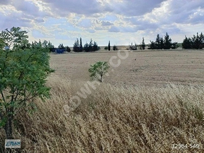 KIRKLARELİ LÜLEBURGAZ EVRENSEKİZ