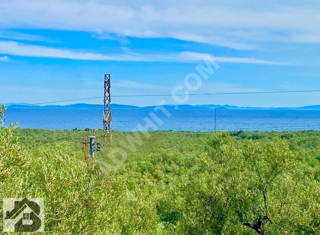 ⫸SADECE BEST EMLAK'TAN⫷ YEŞİLYURT 'DA DENİZ MANZARALI ZEYTİNLİK