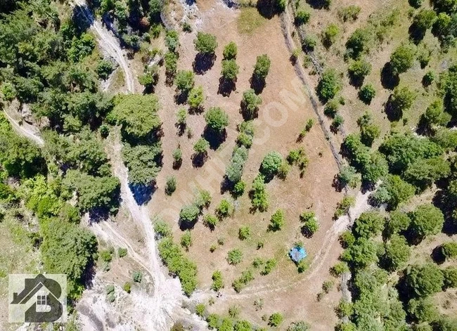 ⫸AKÇAY BEST EMLAKTAN⫷ HAVRANDA RESMİ YOLU MEVCUT 4 DÖNÜM BAĞ