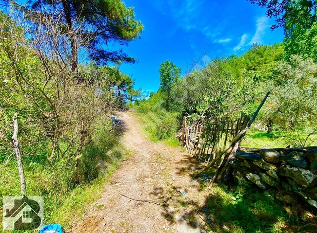 ⫸AKÇAY BEST EMLAKTAN⫷ HAVRANDA RESMİ YOLU MEVCUT 4 DÖNÜM BAĞ