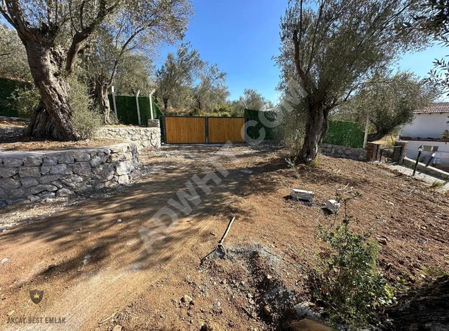 ⫸AKÇAY BEST EMLAK'TAN⫷ KALABAKTA ETRAFI ÇEVRİLİ 1100M2 ZEYTİNLİK