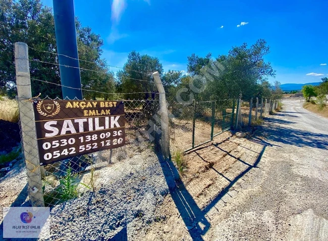 ⫸ AKÇAY BEST EMLAK ⫷ HAVRAN'DA 900M² ANA YOLA CEPHELİ ZEYTİNLİK