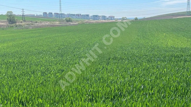 geleceğin fırsatı silivri alipaşa imara sıfır satılık 12,000m2