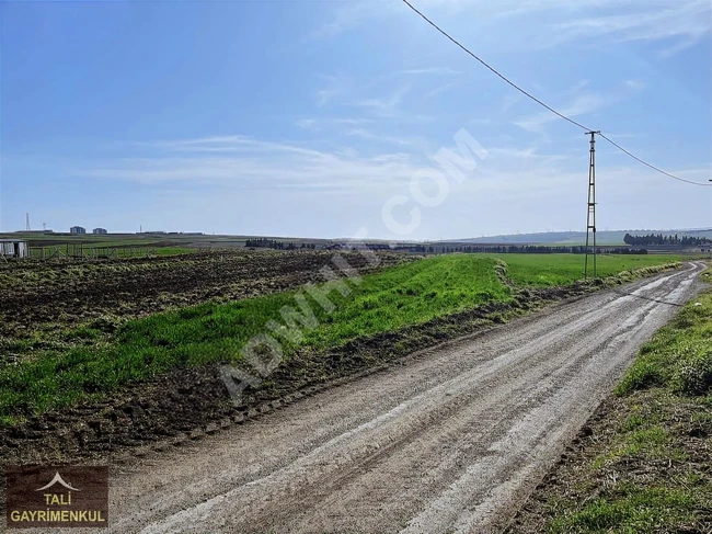 geleceğin fırsatı silivri alipaşa imara sıfır satılık 12,000m2