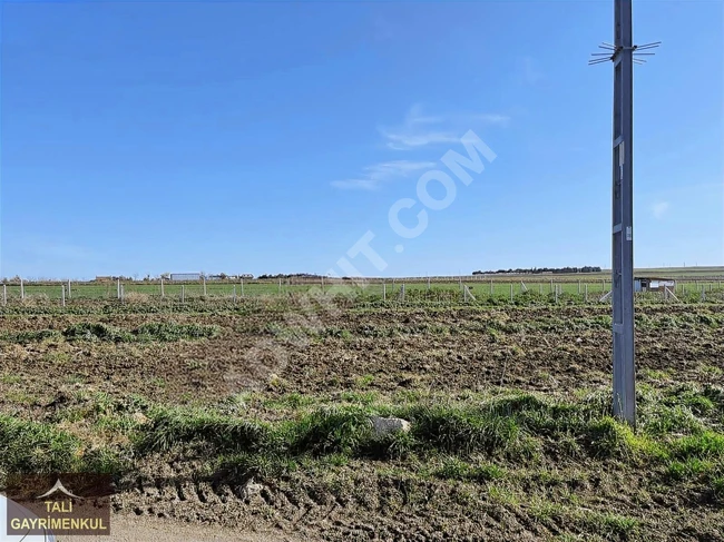 geleceğin fırsatı silivri alipaşa imara sıfır satılık 12,000m2