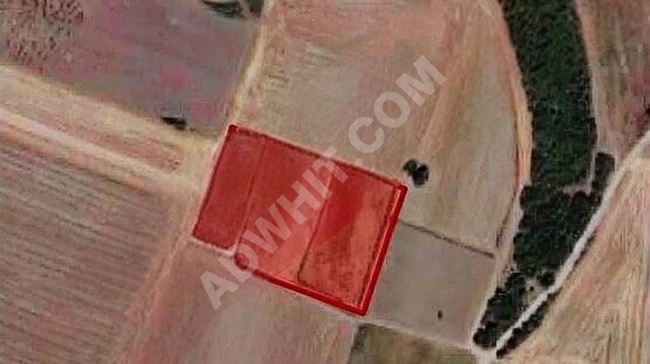 Silivri büyükkılıçlı satılık 583m2