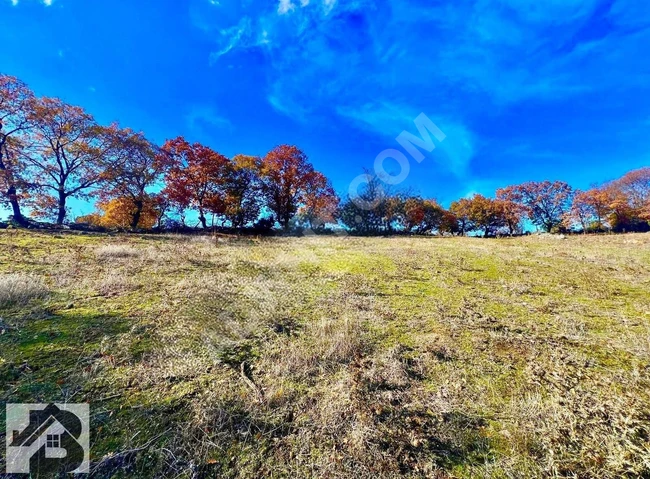 TEK YETKİLİ AKÇAY BEST EMLAK'TAN İVRİNDİ BOZÖRENDE 2.400m2 TARLA