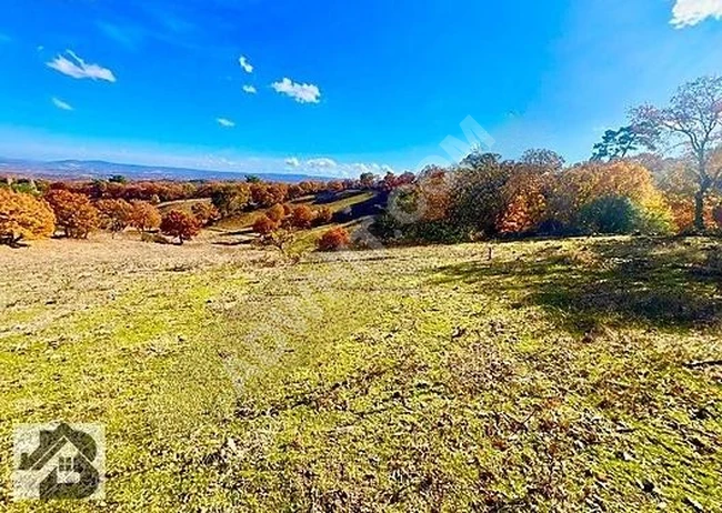 TEK YETKİLİ AKÇAY BEST EMLAK'TAN İVRİNDİ BOZÖRENDE 2.400m2 TARLA