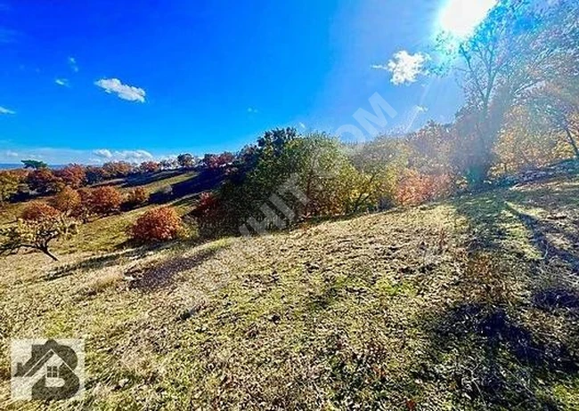 TEK YETKİLİ AKÇAY BEST EMLAK'TAN İVRİNDİ BOZÖRENDE 2.400m2 TARLA