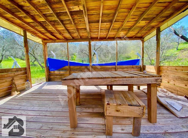 ⫸BEST EMLAK'TAN⫷ HAVRAN'DA YOLA SIFIR ETRAFI ÇEVRİLİ ZEYTİNLİK