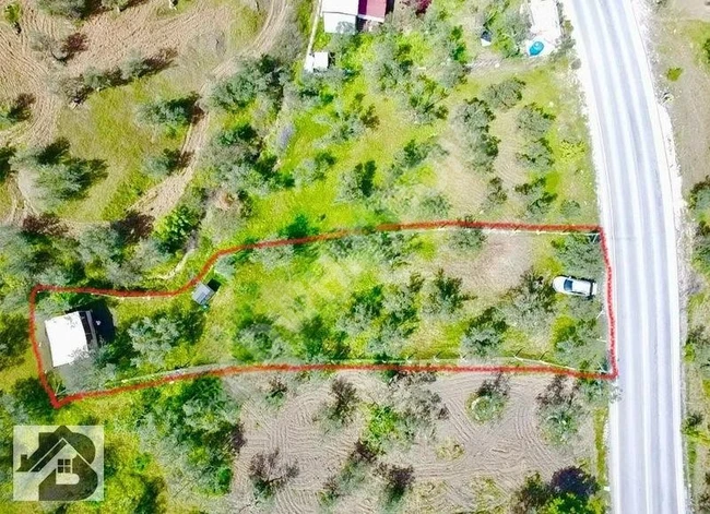 ⫸BEST EMLAK'TAN⫷ HAVRAN'DA YOLA SIFIR ETRAFI ÇEVRİLİ ZEYTİNLİK