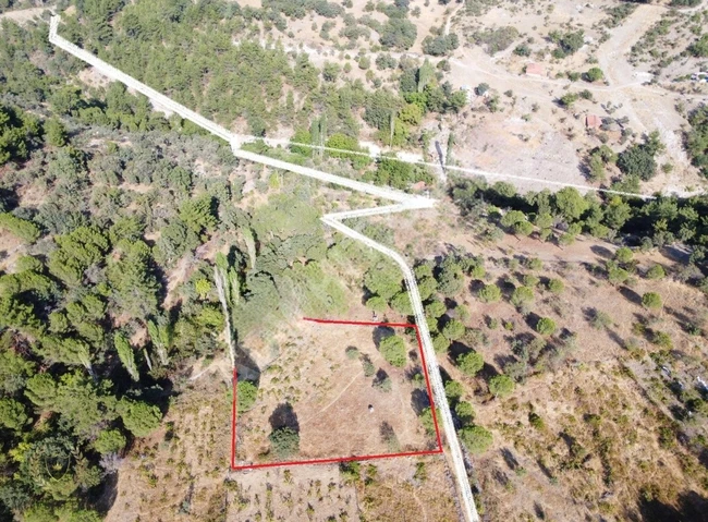 TEK YETKİLİ AKÇAY BEST EMLAK'TAN HAVRANDA 2 DÖNÜM KÖYE YAKIN BAĞ