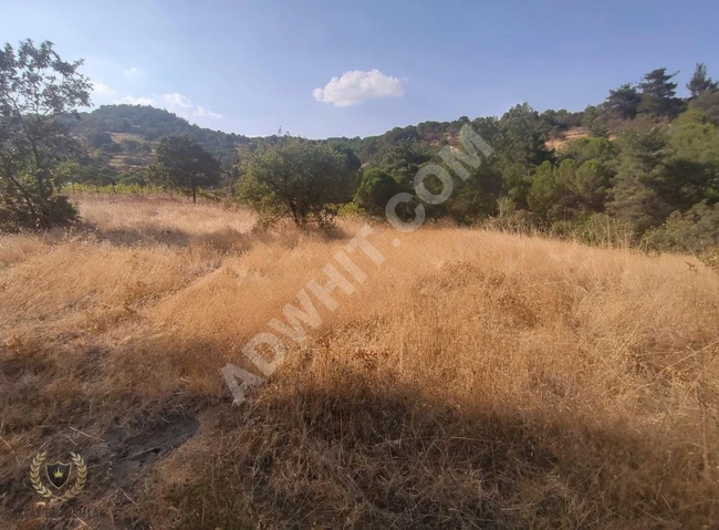 TEK YETKİLİ AKÇAY BEST EMLAK'TAN HAVRANDA 2 DÖNÜM KÖYE YAKIN BAĞ