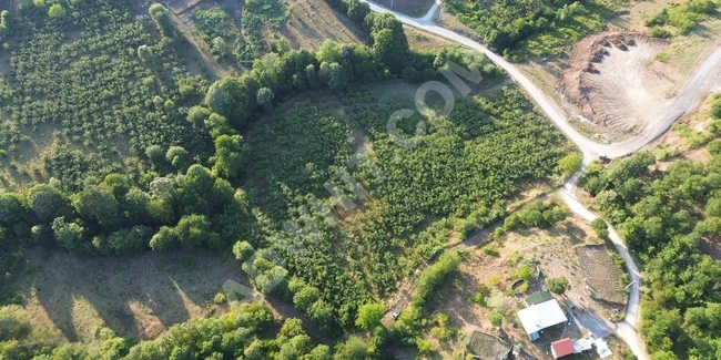 ''INTER WORLD''GÜMÜŞOVA OSB KOMŞU HARİKA KONUMDA MÜSTAKİL PARSEL