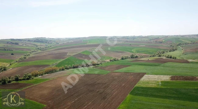 Elbasan'da Yolu Başına Kadar Açık Satılık Tek Tapu Arsa