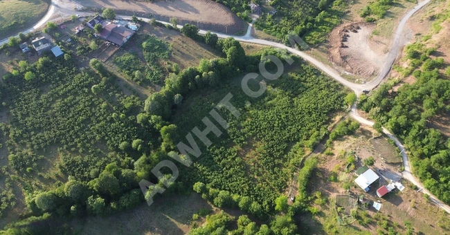 ''INTER WORLD''GÜMÜŞOVA OSB KOMŞU HARİKA KONUMDA MÜSTAKİL PARSEL