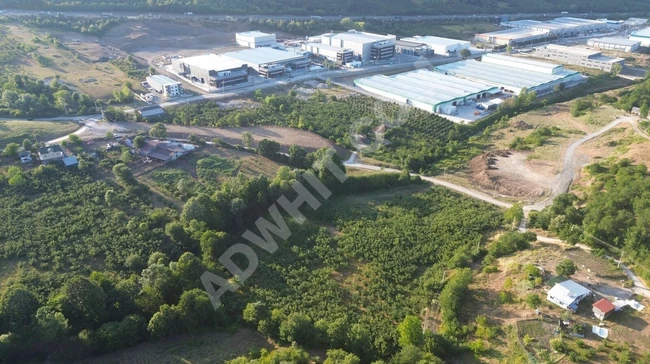 ''INTER WORLD''GÜMÜŞOVA OSB KOMŞU HARİKA KONUMDA MÜSTAKİL PARSEL