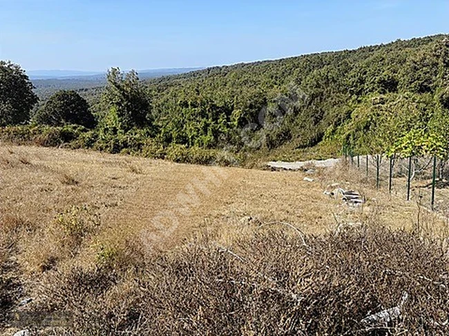 Opportunity: Land with an area of 385 square meters on the edge of the forest in ÇATALCA