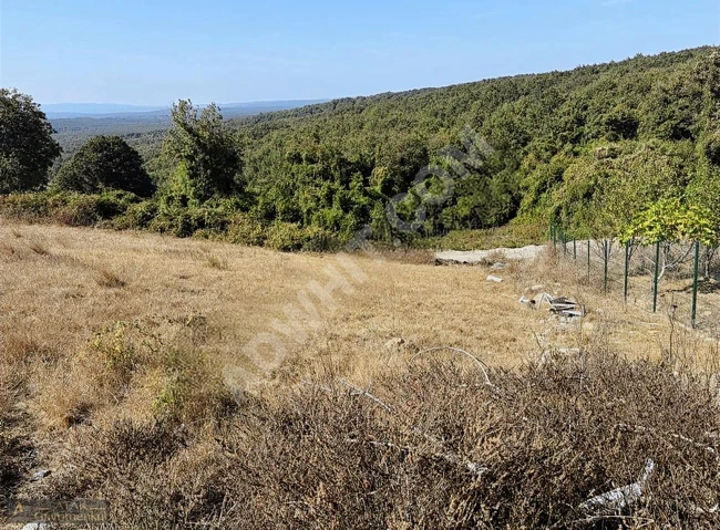 Opportunity: Land with an area of 385 square meters on the edge of the forest in ÇATALCA