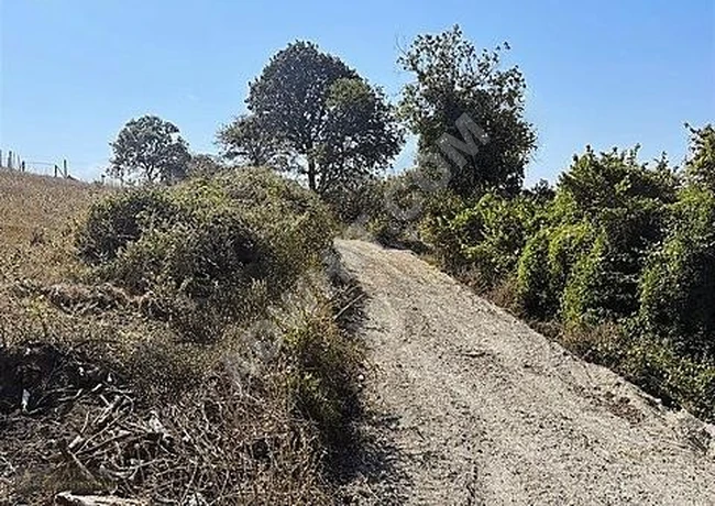 Opportunity: Land with an area of 385 square meters on the edge of the forest in ÇATALCA