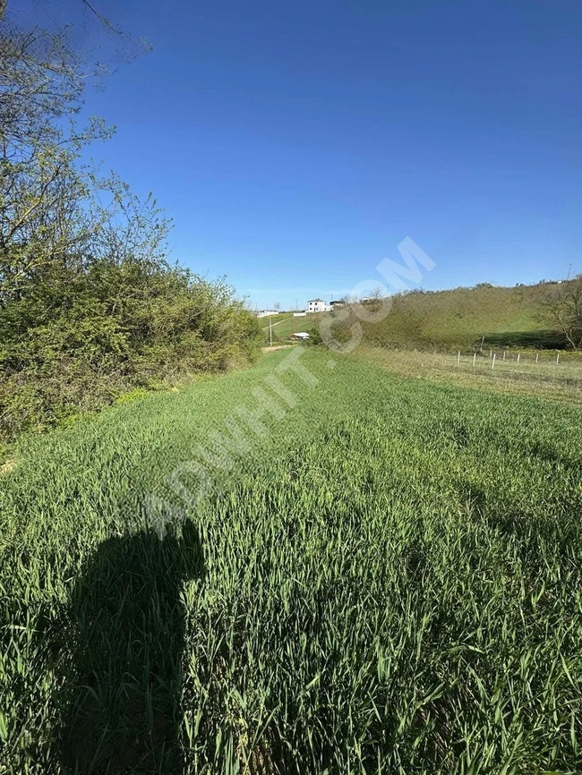 A plot of land with an area of 532 square meters in KOCAELİ KÖRFEZ