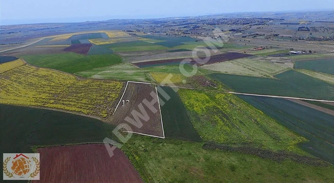 SATILIK TARLA 13.624 M2 RESMİ YOLU VARDIR