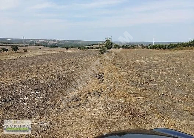 AVRUPA GAYRİMENKUL ' den B.KILIÇLI 6,540 m2 KÖŞE PARSEL