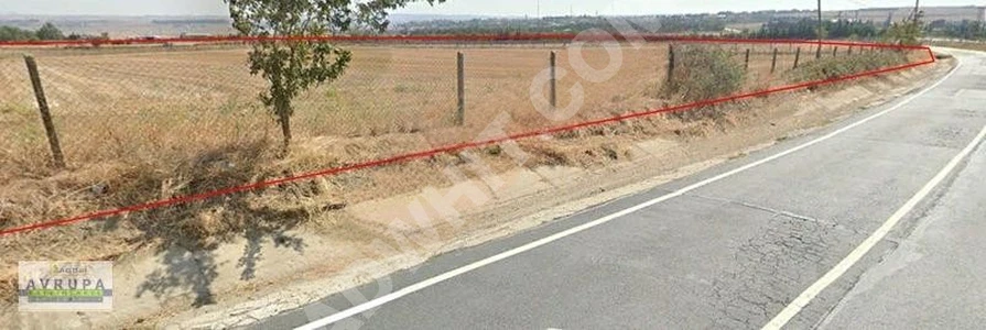 AVRUPA GAYRİMENKUL'den ASFALT CEPHELİ 6,200 m2 KUPON TARLA