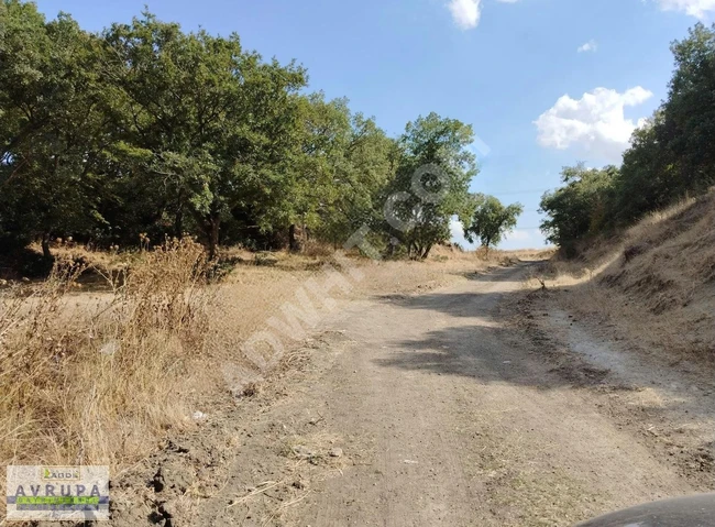 AVRUPA GAYRİMENKUL'den 533 m2 YOL CEPHELİ MÜSTAKİL GİTTİ GİDİYOR