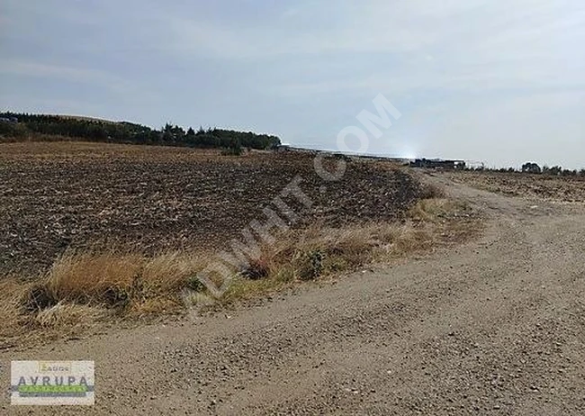 AVRUPA GAYRİMENKUL ' den B.KILIÇLI 6,540 m2 KÖŞE PARSEL