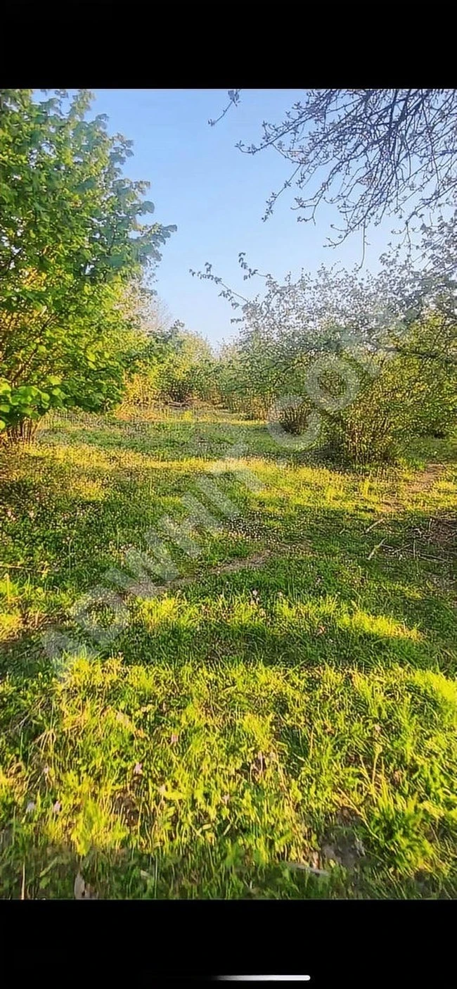 AĞVA KALEM KÖY 432m2 MÜSTAKİL TAPULU PARSEL