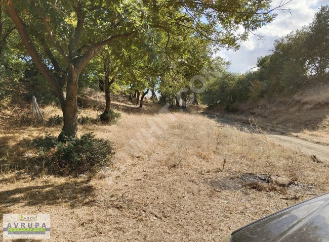 AVRUPA GAYRİMENKUL'den 533 m2 YOL CEPHELİ MÜSTAKİL GİTTİ GİDİYOR