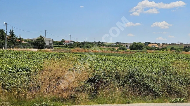 SİLİVRİ ORTAKÖY MOLA İSATANBUL'A KOMŞU 2.5 KAT VİLLA İMARLI ARSA