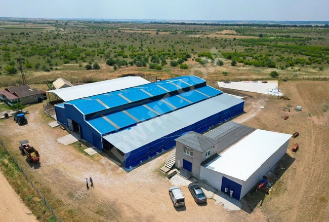 SATILIK HAYVAN TARIM ÇİFTLİĞİ KIRKLARELİ MERKEZ DEĞİRMENCİK K. görsel 3