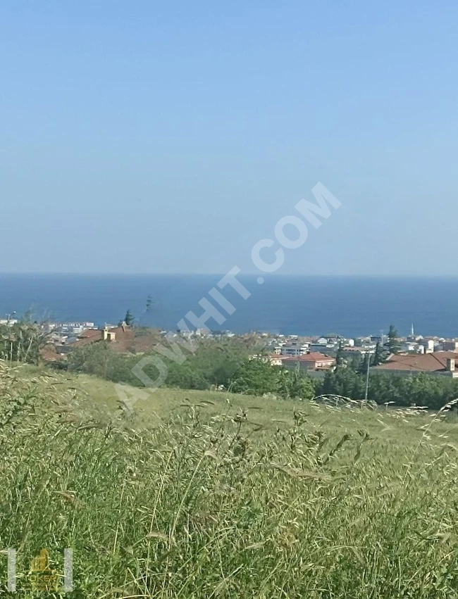 TOKER KAMILOBA DAN MANZARADAN FAZLASI CADDE CEPHELI